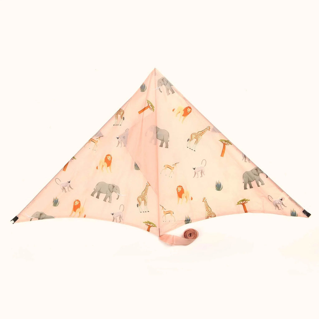 Africa Sustainable Kite