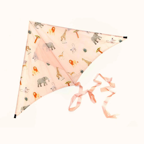 Africa Sustainable Kite