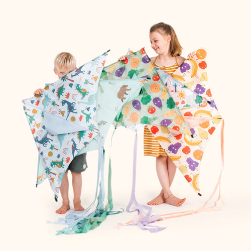 Australia - Sustainable Kite - Kite by Lofty Kites