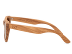 Classic Zebra - Sunglasses by Wildwood
