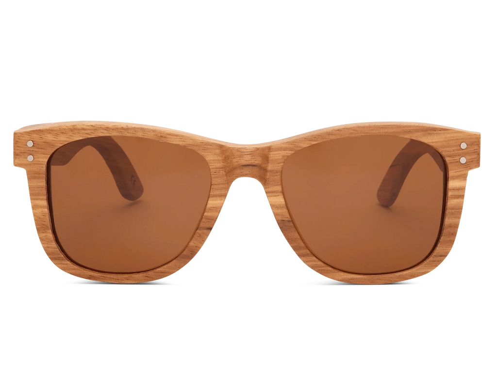 Classic Zebra - Sunglasses by Wildwood